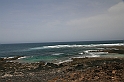 Kanary_2010 118